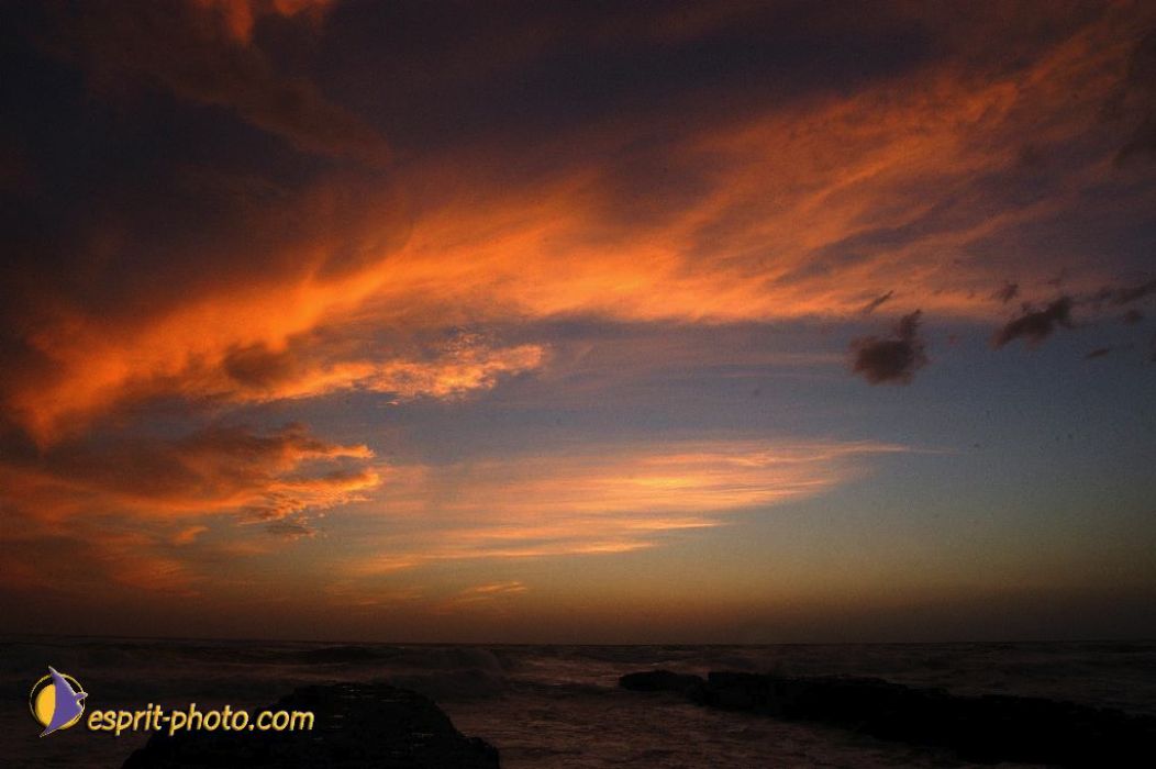 Nom de l'image : EP08-0385_(c)Norbert-JUNG — Description :